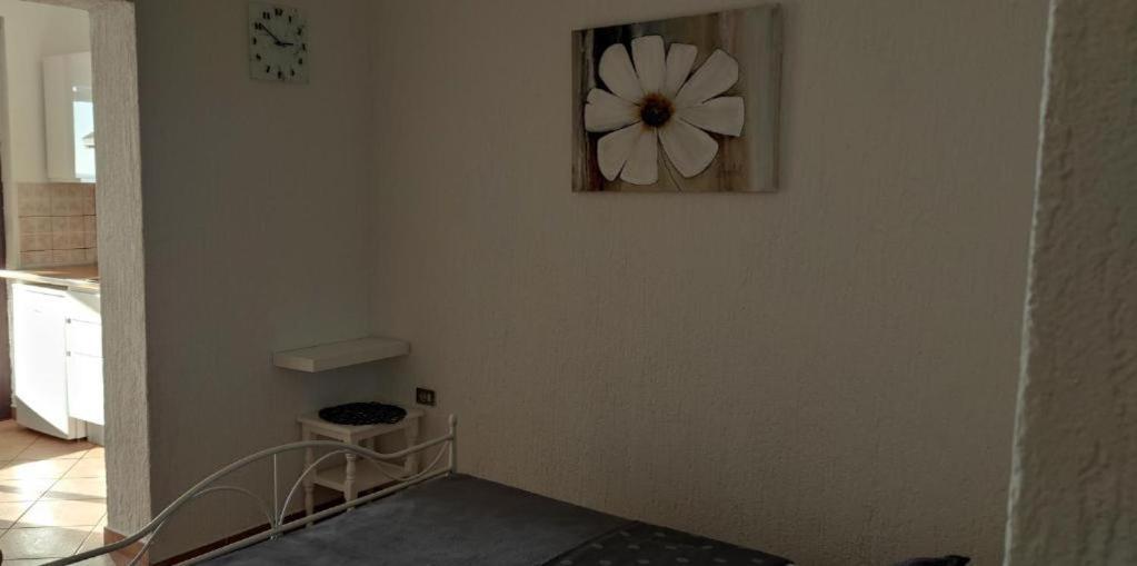 Mali Delfin Apartment Sveti Juraj Exterior foto